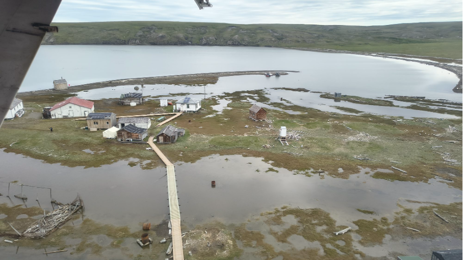 Summer 2026 expedition blog: From tundra to sea: tracing contaminants on Herschel Island–Qikiqtaruk